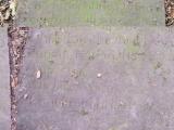 image of grave number 174493